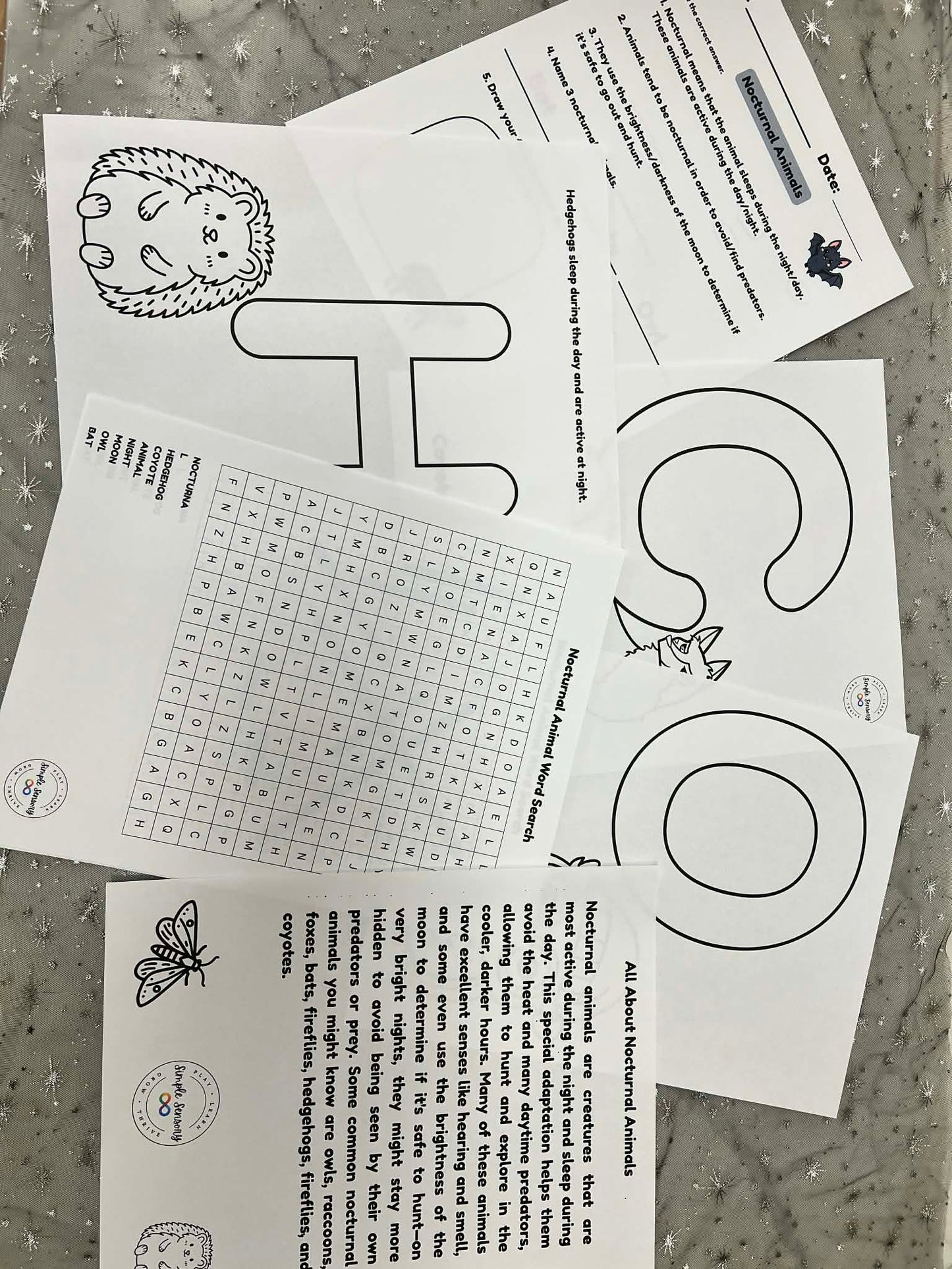 Nocturnal Animal Sensory Learning Kit