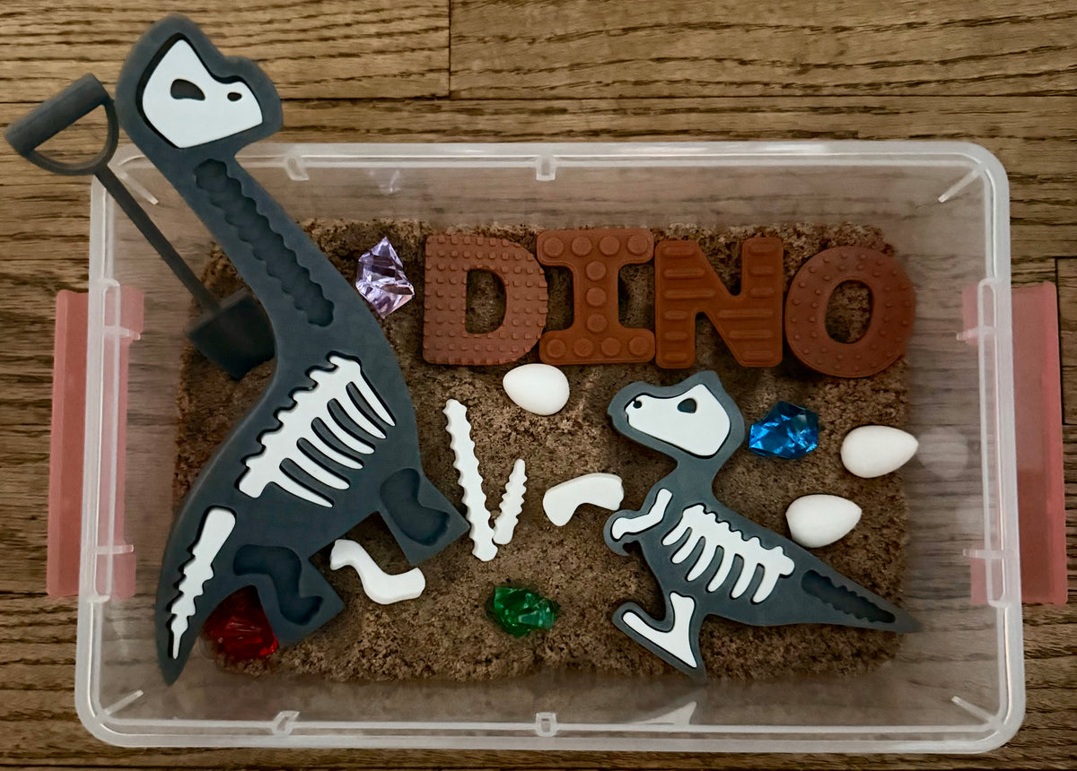 Fossil Diggin Dino Bin