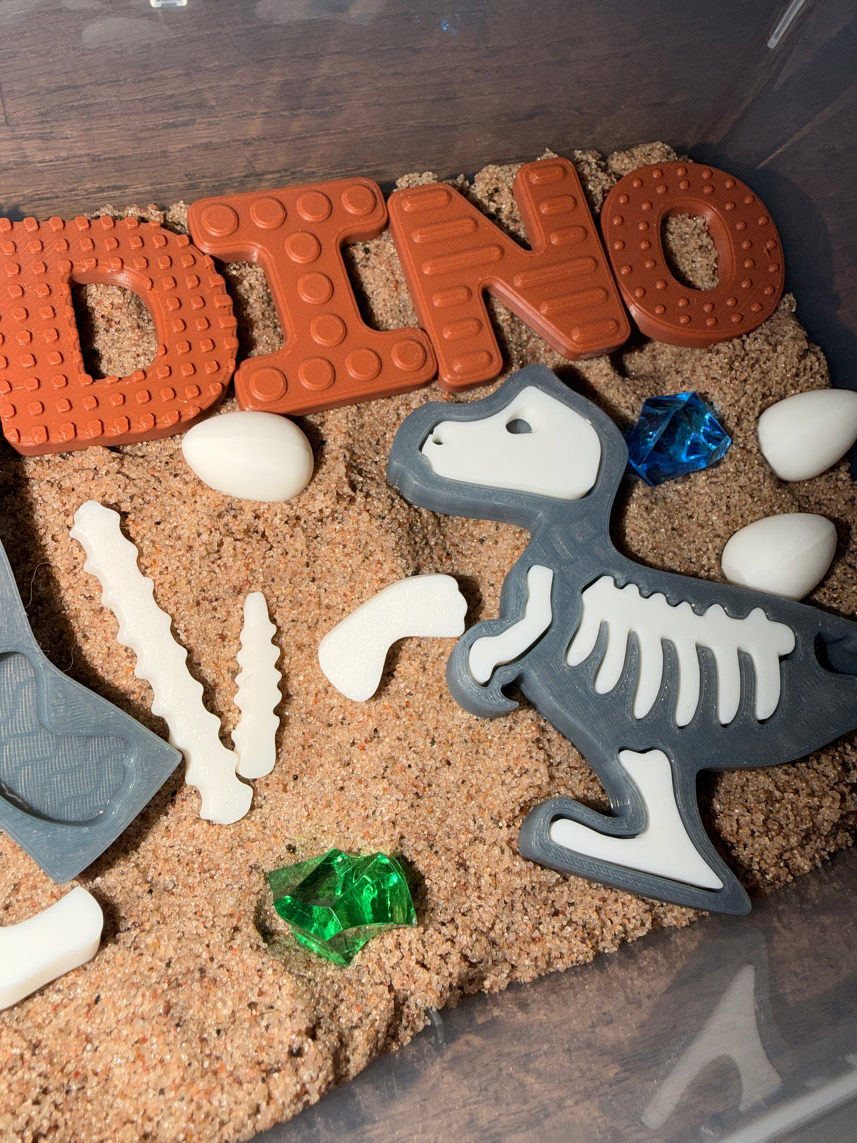 Fossil Diggin Dino Bin